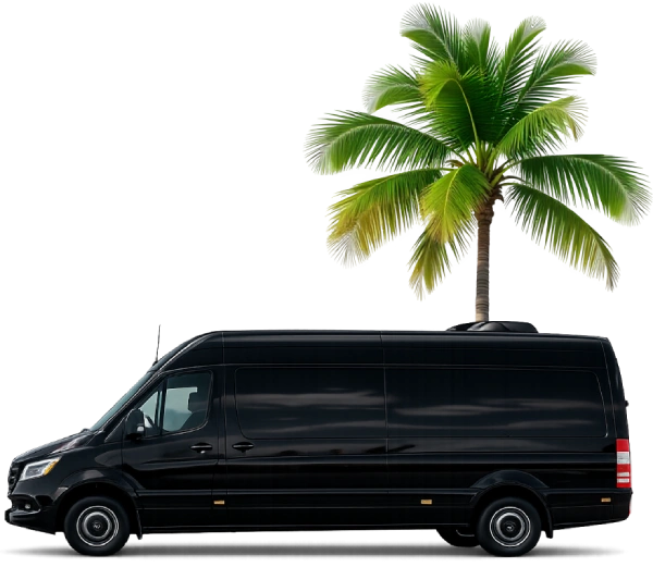 Mercedes Sprinter private transportation in Orlando with palm trees